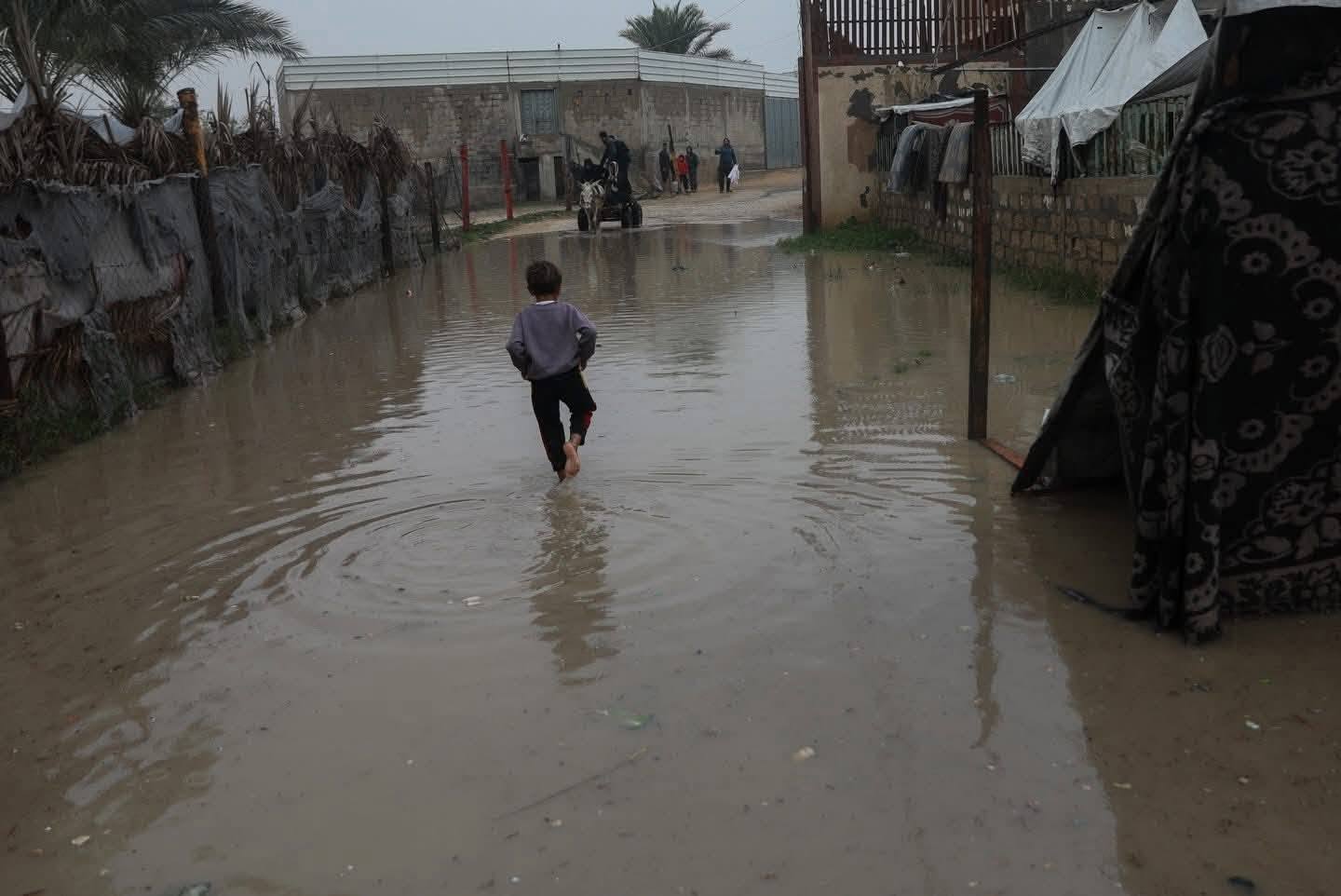 منخفض قاسٍ يضرب غزة .. أمطار تغرق خيام النازحين وتفاقم مآسي الحرب