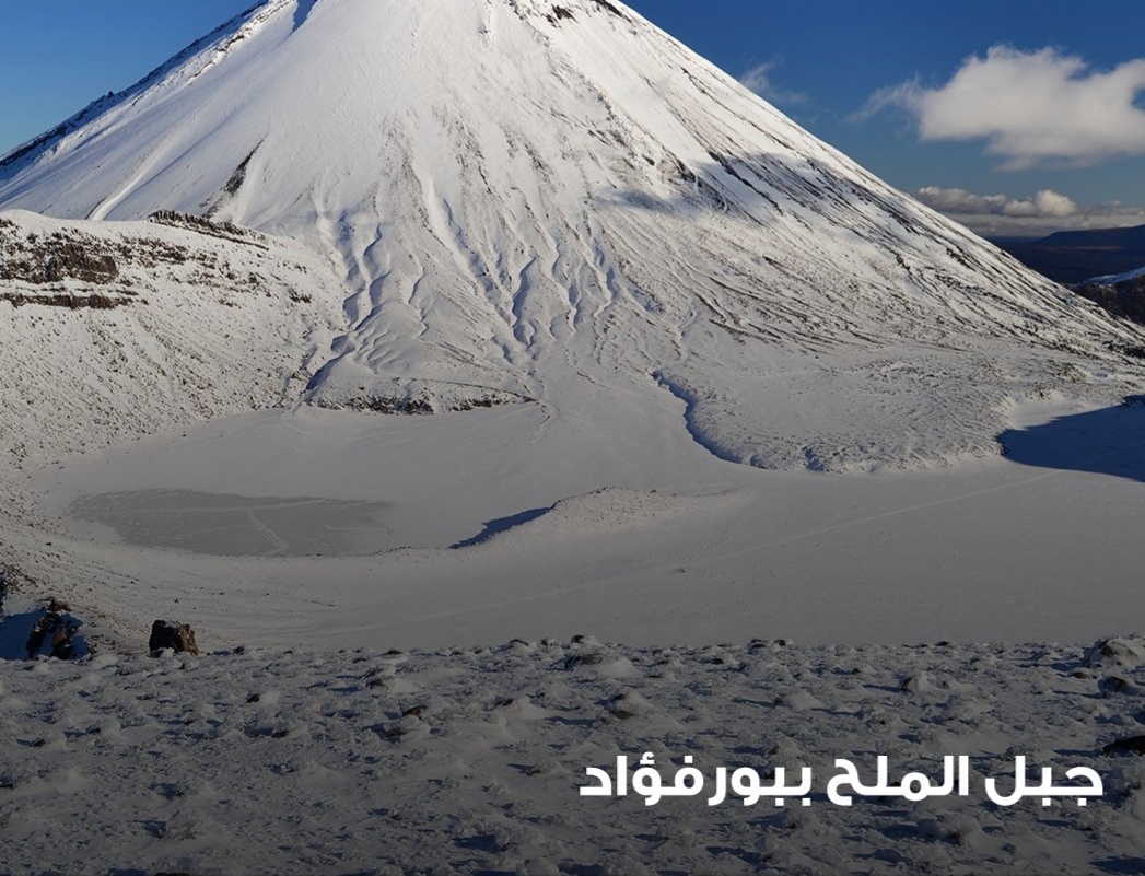 «النصر للملاحات» تصدّر أكبر شحنة ملح مغسول.. وتحقق نموًا ملحوظًا بالصادرات