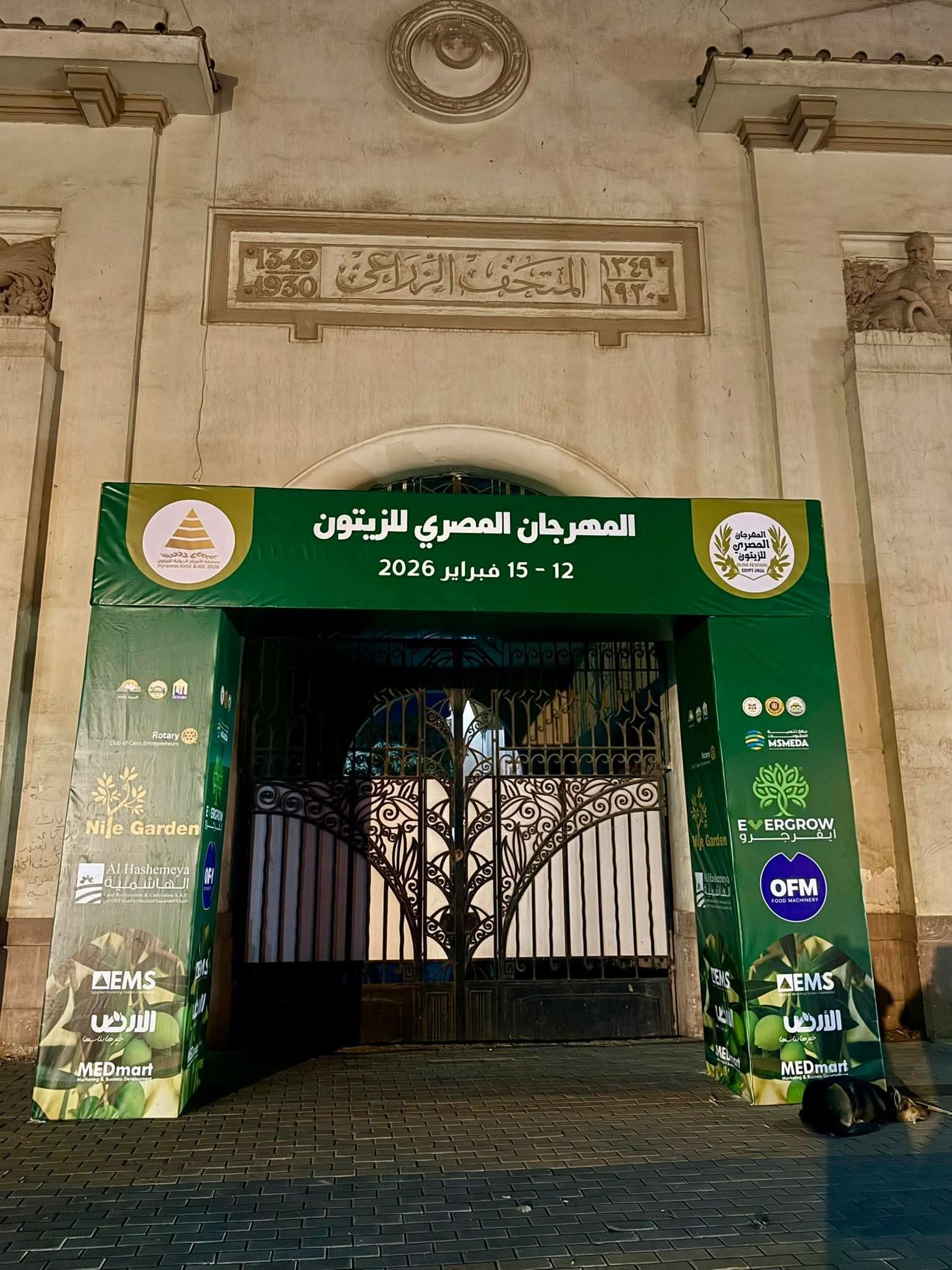 المتحف الزراعي يستضيف النسخة الرابعة من المهرجان المصري للزيتون «نسخة كليوباترا»