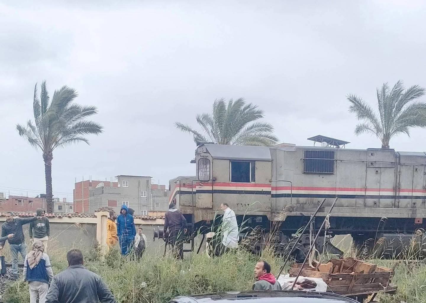 قطار يصدم 6 عجول بالسنانية في دمياط دون إصابات بشرية
