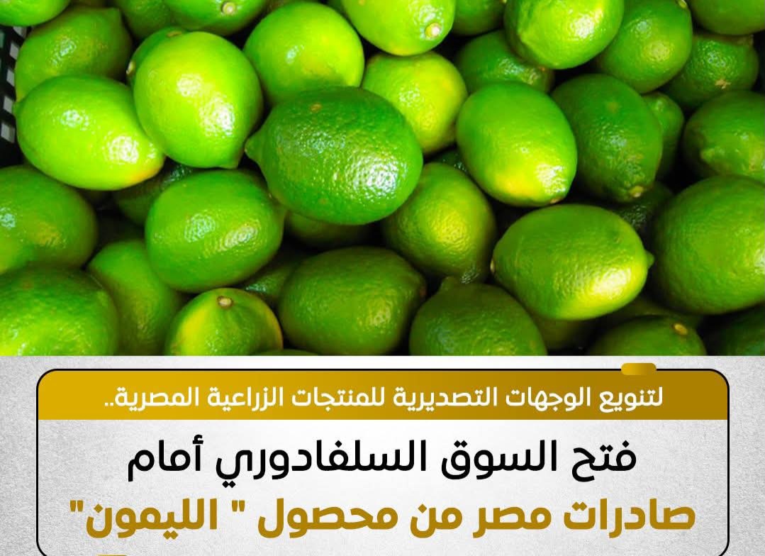 مصر تفتح أسواق السلفادور أمام صادرات الليمون